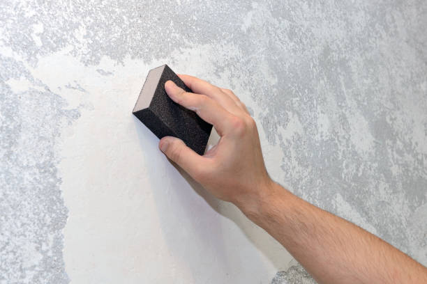 Best Black Mold Removal  in Morenci, AZ