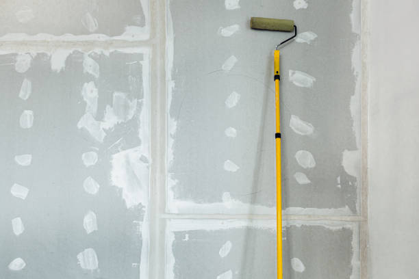 Best Black Mold Removal  in Morenci, AZ
