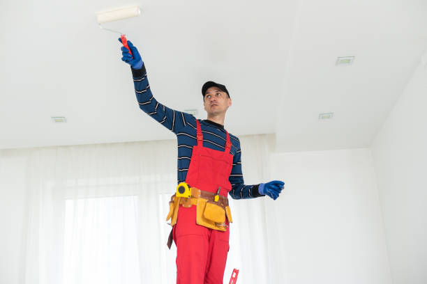 Best Mold Prevention Services  in Morenci, AZ